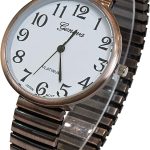 Blekon Collections New Super Large Face Stretch Band Japanese Movement PC21J Fashion Watch